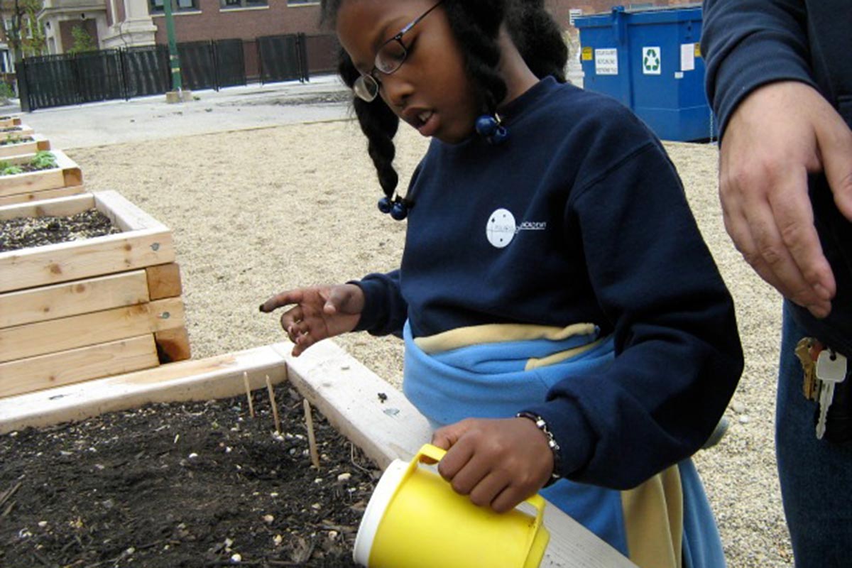 Polaris Charter Academy, West Humboldt Park, Chicago, IL | The Organic