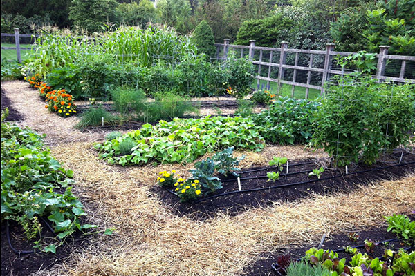 Residential | The Organic Gardener